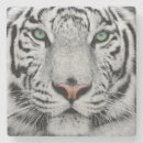 Recherche de tigre blanc dessous de verres Chat