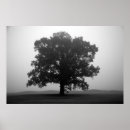 Search for amanda posters Nature