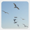 Search for flying seagull stickers Wildlife