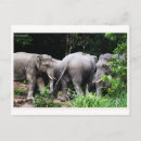 Recherche de éléphant cartes postales Feuille