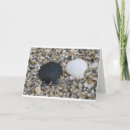 Search for sea shell cards Beach