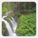 Search for sol stickers Environment