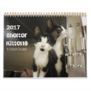 Recherche de vacances de chat bureau fournitures Chaton