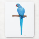 Search for pet parrot electronics Blue