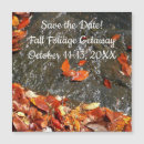 Recherche de cascades photographie Chute