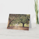 Recherche de charleston photographie Blanc