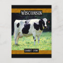 Recherche de vache laitière cartes postales Wisconsin
