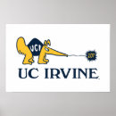 Search for anteaters posters College