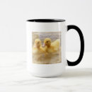 Search for duckling mugs Wildlife