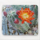 Search for cactus mousepads Plants