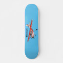 Search for aviation skateboards Aircraft