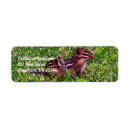 Search for chipmunk return address labels Cute