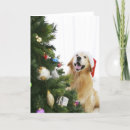 Search for which cards Dog