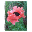 Recherche de poppy carnets Vert