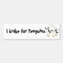 Recherche de pingouin voiture autocollants Humour