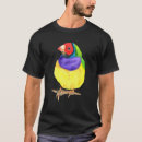 Search for finch tshirts Watercolor