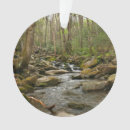 Search for great smoky mountains ornaments Travel