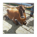 Recherche de ranch photographie Pour tous