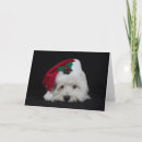 Search for westie christmas cards Dog