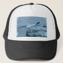 Search for diving dolphin accessories Dolphins