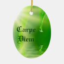 Search for carp ornaments Water