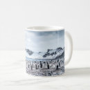Search for colony mugs Animals in the wild