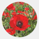 Search for memorial day stickers Poppy
