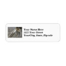 Search for herons return address labels Egret