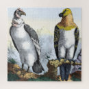 Search for birds of prey puzzles Landscape