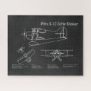 Search for pitts Biplane