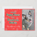 Search for kiss christmas cards Dog