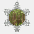 Search for redwood trees ornaments Forest
