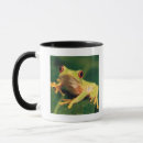 Search for red eye tree frog mugs Wildlife