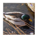 Recherche de chasseur de chasse carreaux Animal