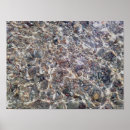 Search for pebble posters Nature