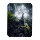 Search for forest park magnets Tree