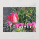 Recherche de cardiaque cartes postales Floral