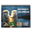 Search for meerkat calendars Wildlife