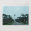 Recherche de dauphins cartes postales Vacances