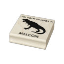 Search for dinosaur rubber stamps This book belongs to
