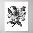 Search for black and white flower posters Vintage