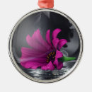 Search for closeups ornaments Photography
