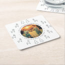 Search for calm coasters Create your own