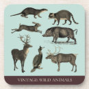 Search for boar coasters Vintage