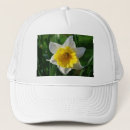 Search for renewable hats Green