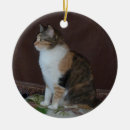 Search for calico cat ornaments Animal