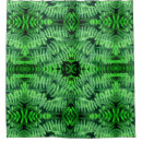 Search for fern green bath beauty Nature