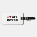 Recherche de boxeur allemand Animal