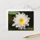 Search for blank postcards White