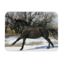 Search for mustang cards Snow